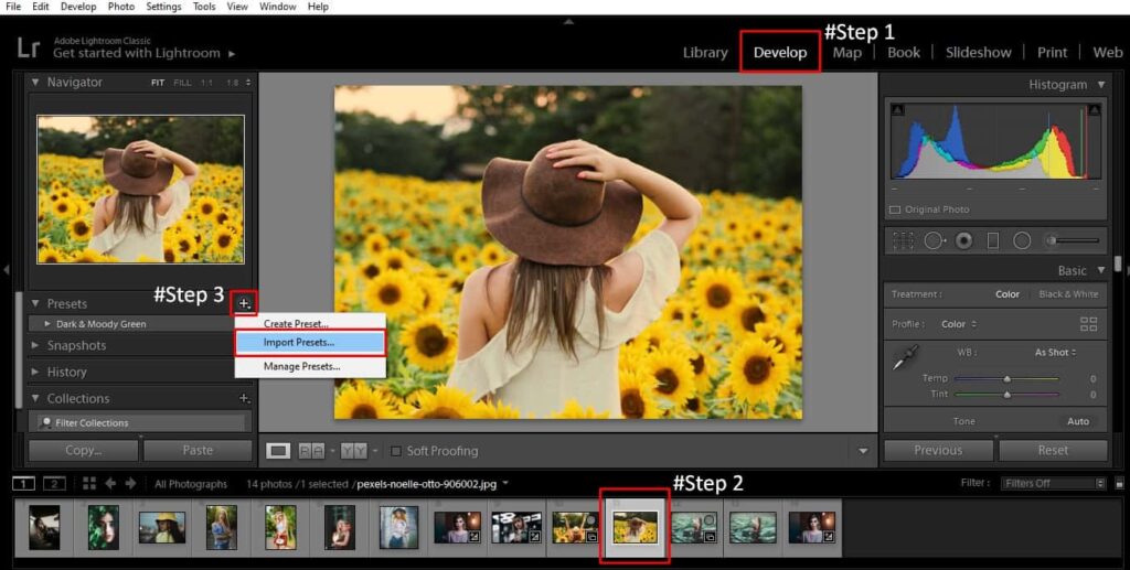 click on develop interface and go to import presets option